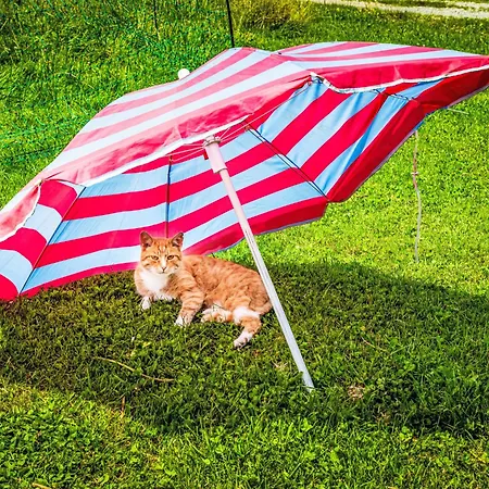 Hanserbauer-1 By Interhome Apartamento *