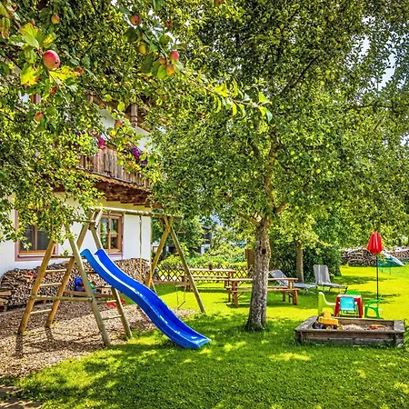 Apartamento Hanserbauer-1 By Interhome Oberhaus