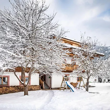 Hanserbauer-1 By Interhome * Oberhaus